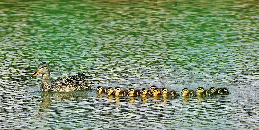 回合制策略游戏《Barrage》Steam页面上线 明天发售